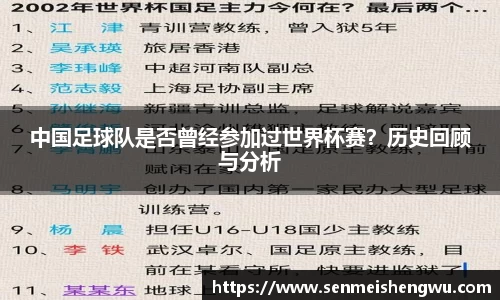 bevictor伟德