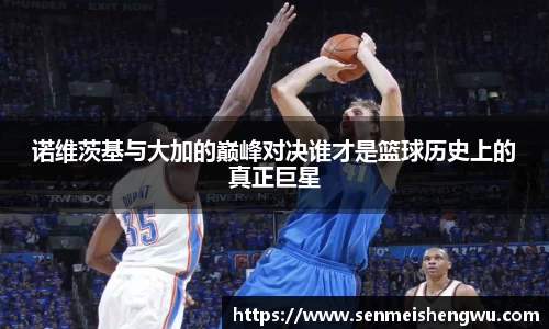 诺维茨基与大加的巅峰对决谁才是篮球历史上的真正巨星