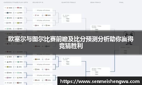 欧塞尔与图尔比赛前瞻及比分预测分析助你赢得竞猜胜利